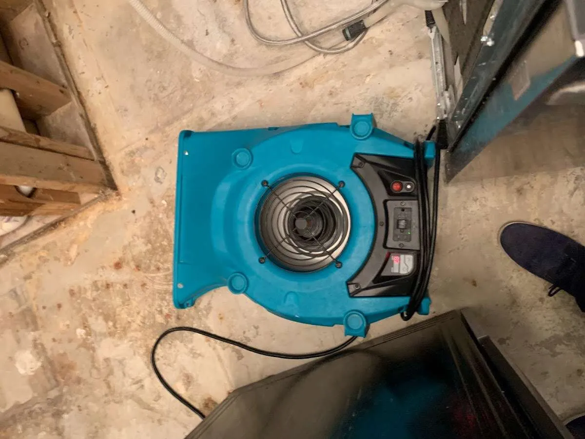 Air mover drying equipment for Mold Remediation & Removal in Terrell